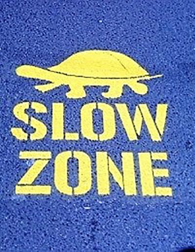 A yellow Turtle and the words Slow Zone markings on the ground, used a lot in school yards.